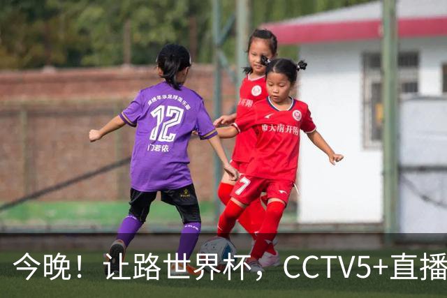 今晚！让路世界杯，CCTV5+直播中国男篮VS荷兰，NBA球员杨瀚森归队