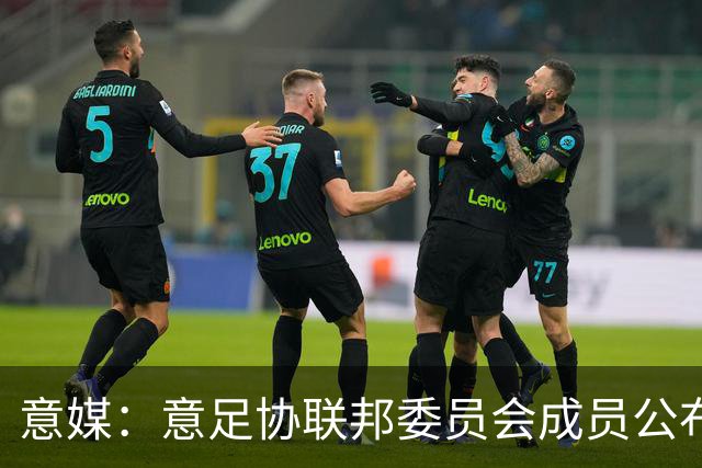 意媒：意足协联邦委员会成员公布，马洛塔和基耶利尼等人全员留任